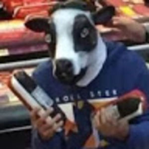 Meet your Posher, Cassy